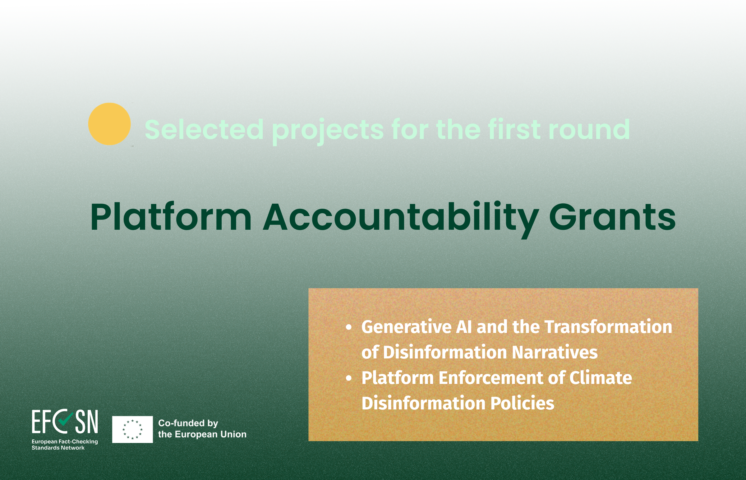 Announcing the First Round of Grants for Platform Accountability in Europe