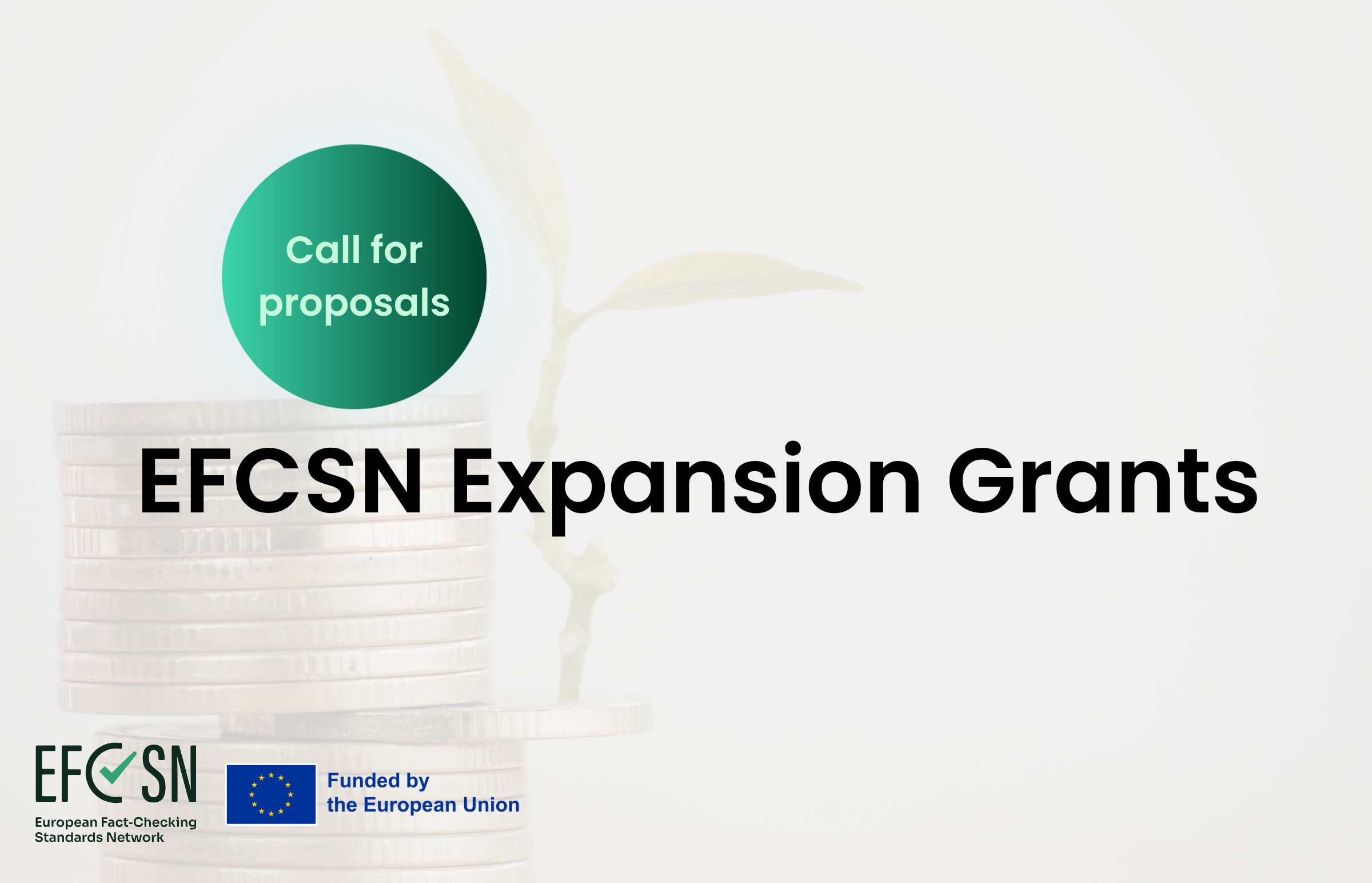 EFCSN Expansion Grants: Strengthening Resilience and Fact-Checking Capacity in Underserved Regions
